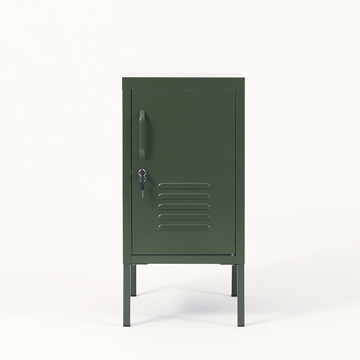 LLC-801-Green Metal Cabinet